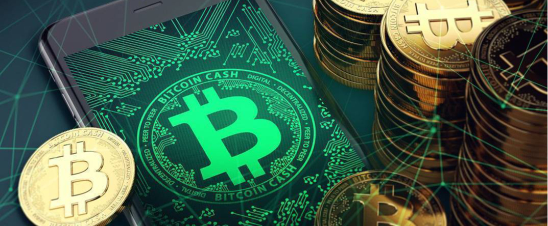 Биткоин кэш перспективы how to get bitcoin into wallet